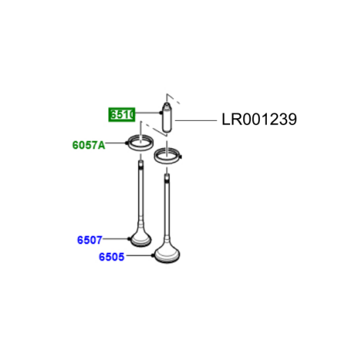 Ghid supapa motor LR Freelander 2.2 diesel LR001239